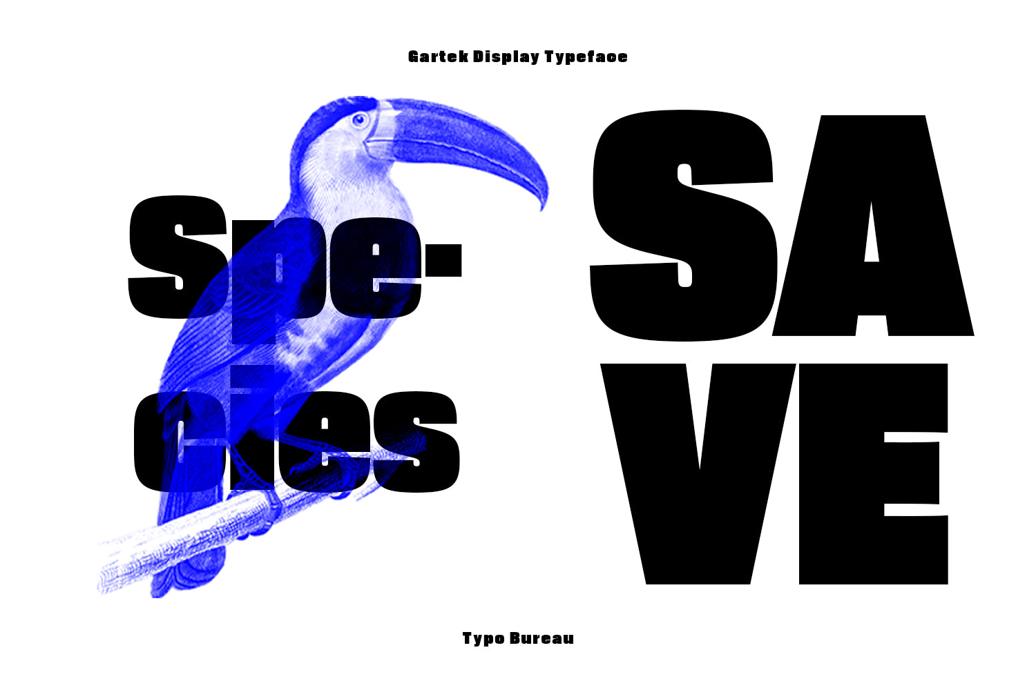 tbs-gartek-display-typobureau-studio-6.jpg