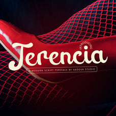 terencia-modern-script-typeface-font-vadova-studio-1.jpg
