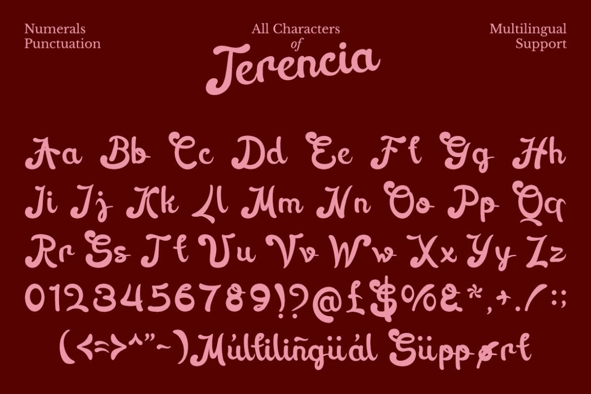 terencia-modern-script-typeface-font-vadova-studio-2.jpg