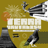 TERRA BRUTALISM Trend Design Kit