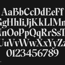 tf-bragado-classical-poise-editorial-edge-type-flock-10.jpg