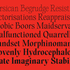 tf-bragado-classical-poise-editorial-edge-type-flock-14.jpg