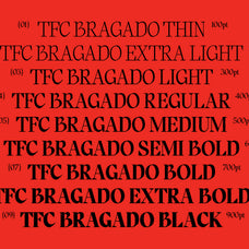 tf-bragado-classical-poise-editorial-edge-type-flock-4.jpg