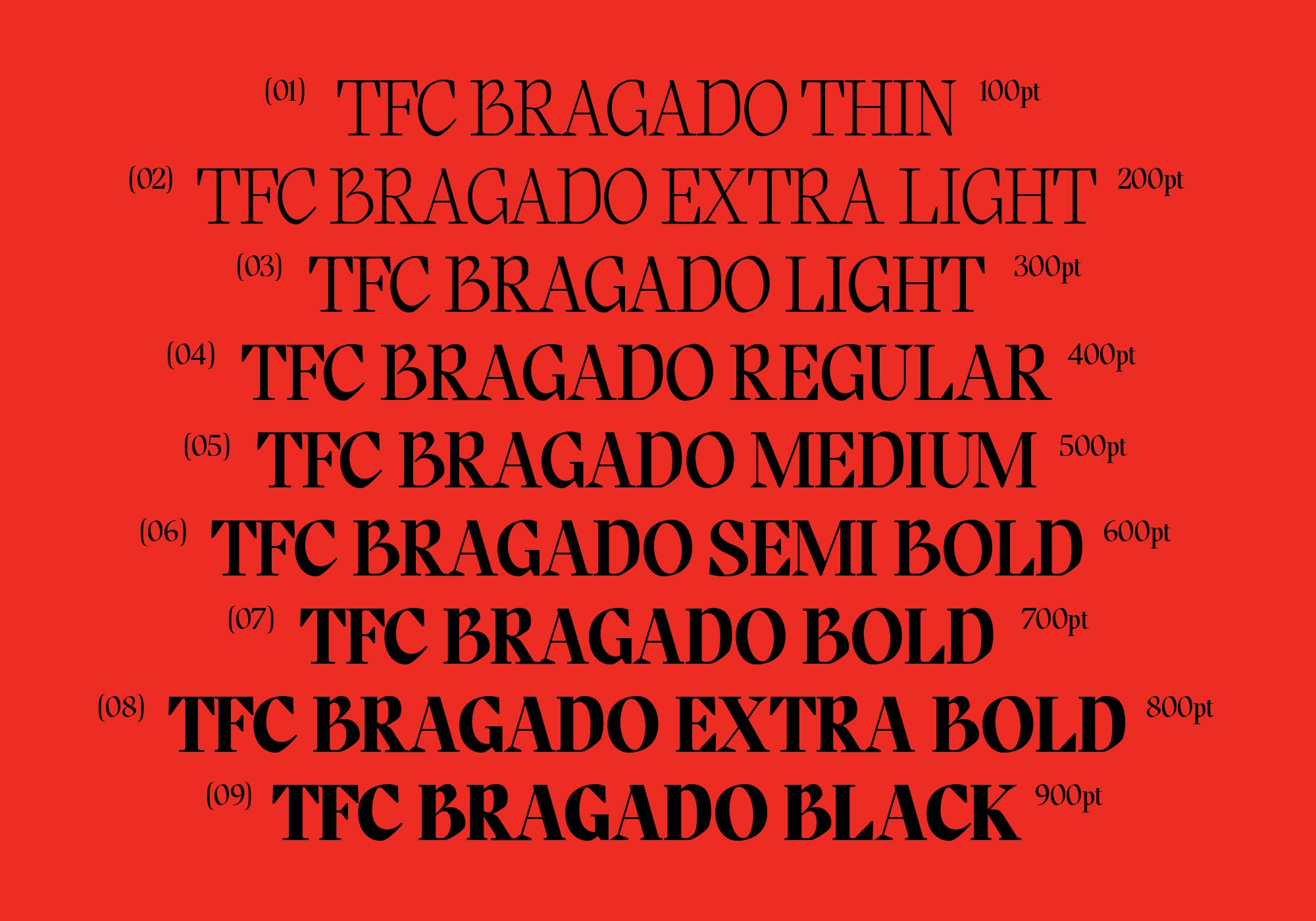 tf-bragado-classical-poise-editorial-edge-type-flock-4.jpg