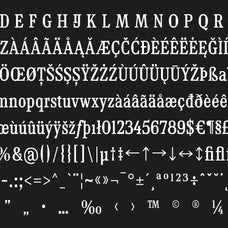 tf-mighu-slab-variable-type-flock-12.jpg