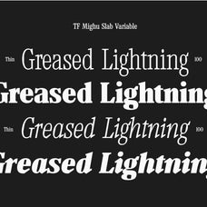 tf-mighu-slab-variable-type-flock-15.jpg