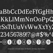 tfc-bachelord-font-type-flock-3.jpg