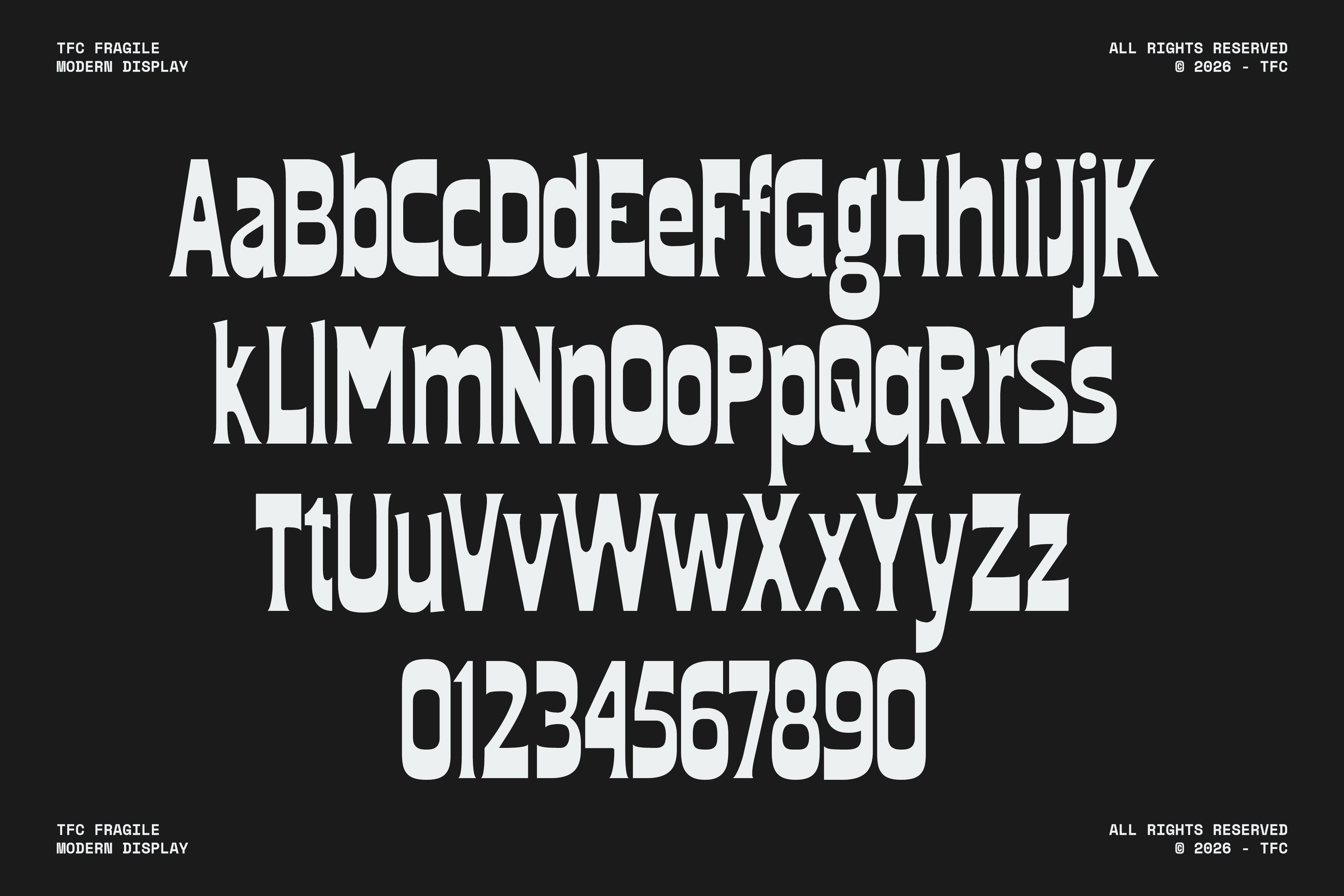 tfc-fragile-font-type-flock-15.jpg