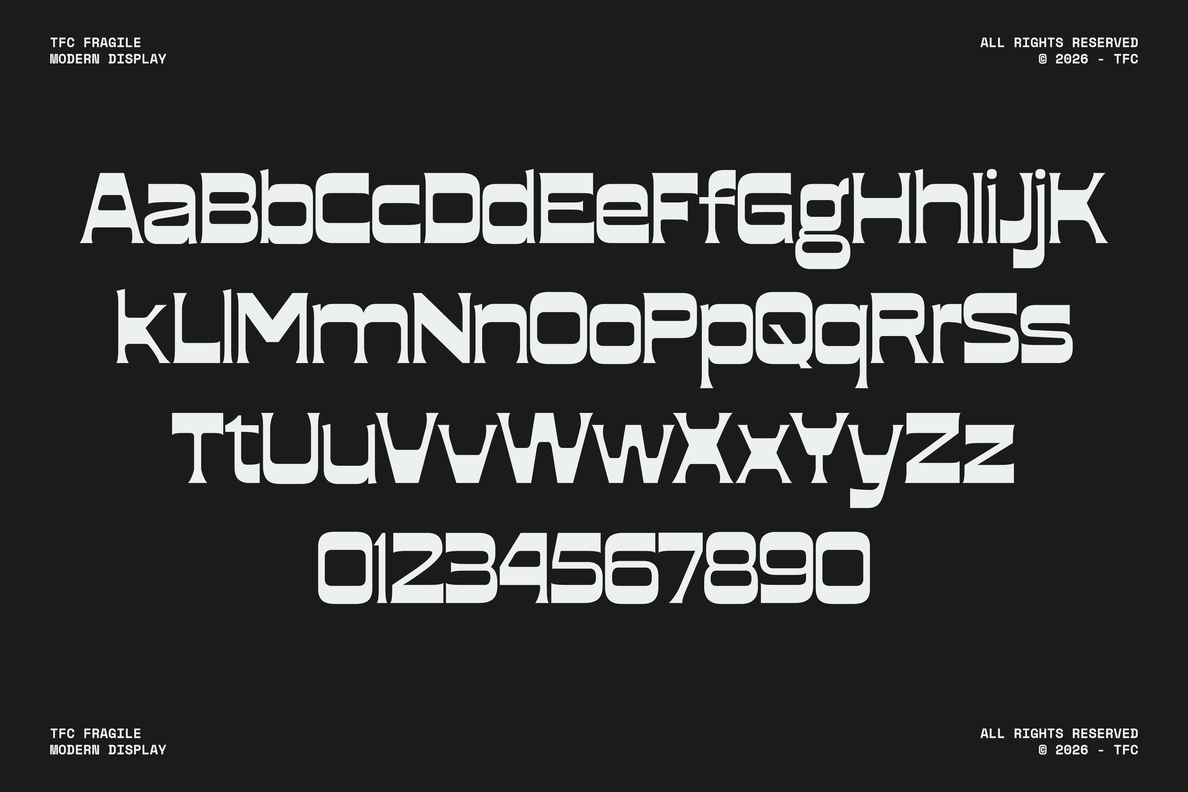 tfc-fragile-font-type-flock-16.jpg