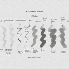 Thalia's Procreate Kit