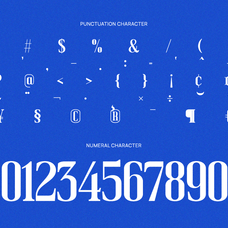 thalier-estelle-condensed-editorial-font-rasio-std-3.png