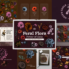 the-2026-complete-aesthetic-bundle-unknown-creator-14.jpg