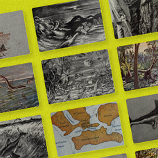 The Age Of Dinosaurs