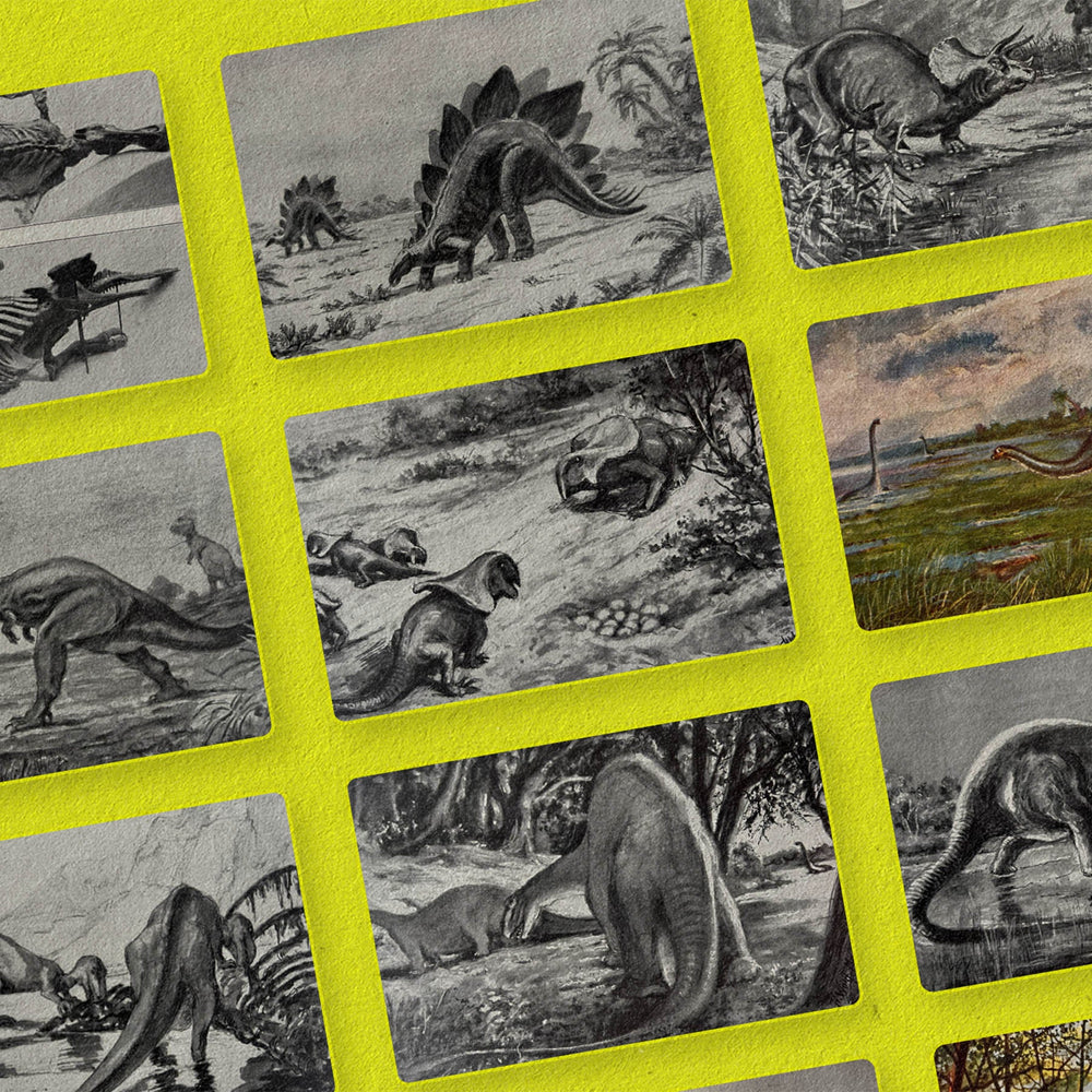 The Age Of Dinosaurs by Nomad Visuals