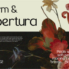 the-braven-elegant-sans-serif-font-vadova-studio-4.jpg
