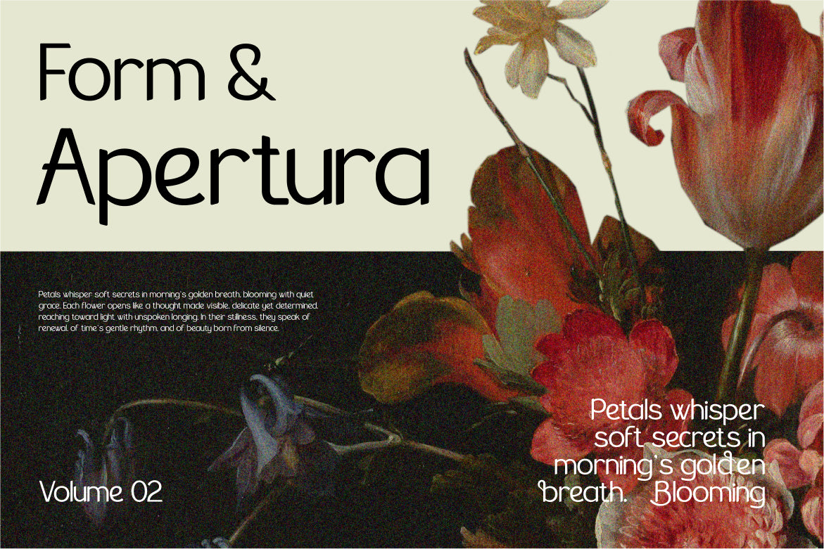 the-braven-elegant-sans-serif-font-vadova-studio-4.jpg