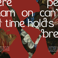 the-braven-elegant-sans-serif-font-vadova-studio-5.jpg