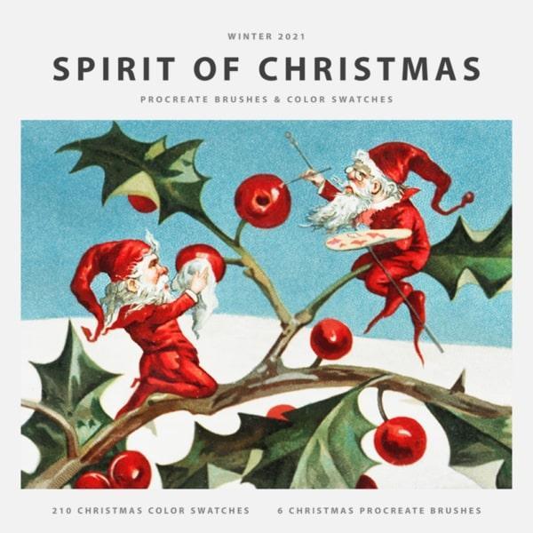 The Christmas (2021) Procreate Kit