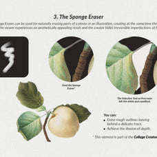The Collage Eraser Procreate Brushes