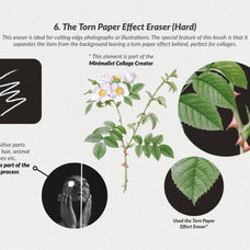 The Collage Eraser Procreate Brushes