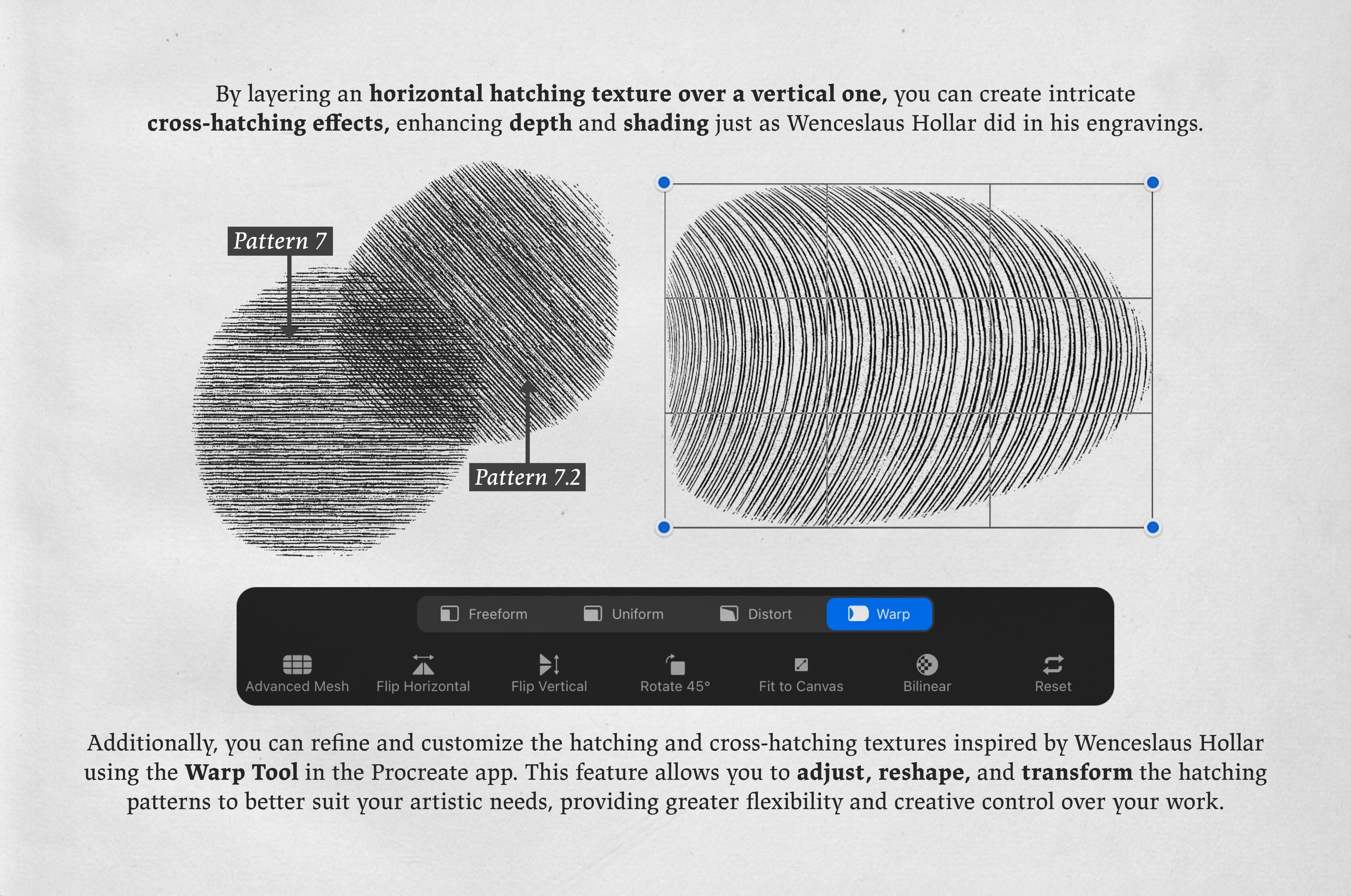 The Dance of Death Procreate Kit