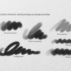 The Dealer's Notebook Procreate Kit