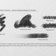 The Dealer's Notebook Procreate Kit