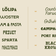 the-eleven-fonts-bundle-vol-2-skilline-fonts-co-5.png