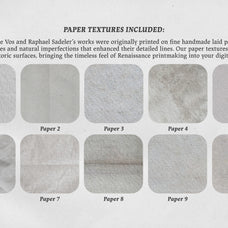 The Five Senses Procreate Kit