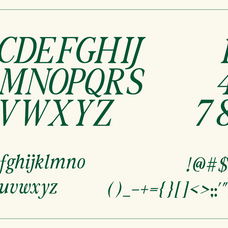 the-foriene-serif-editorial-font-rasio-std-2.png