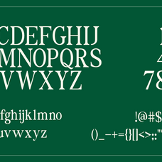 the-foriene-serif-editorial-font-rasio-std-3.png