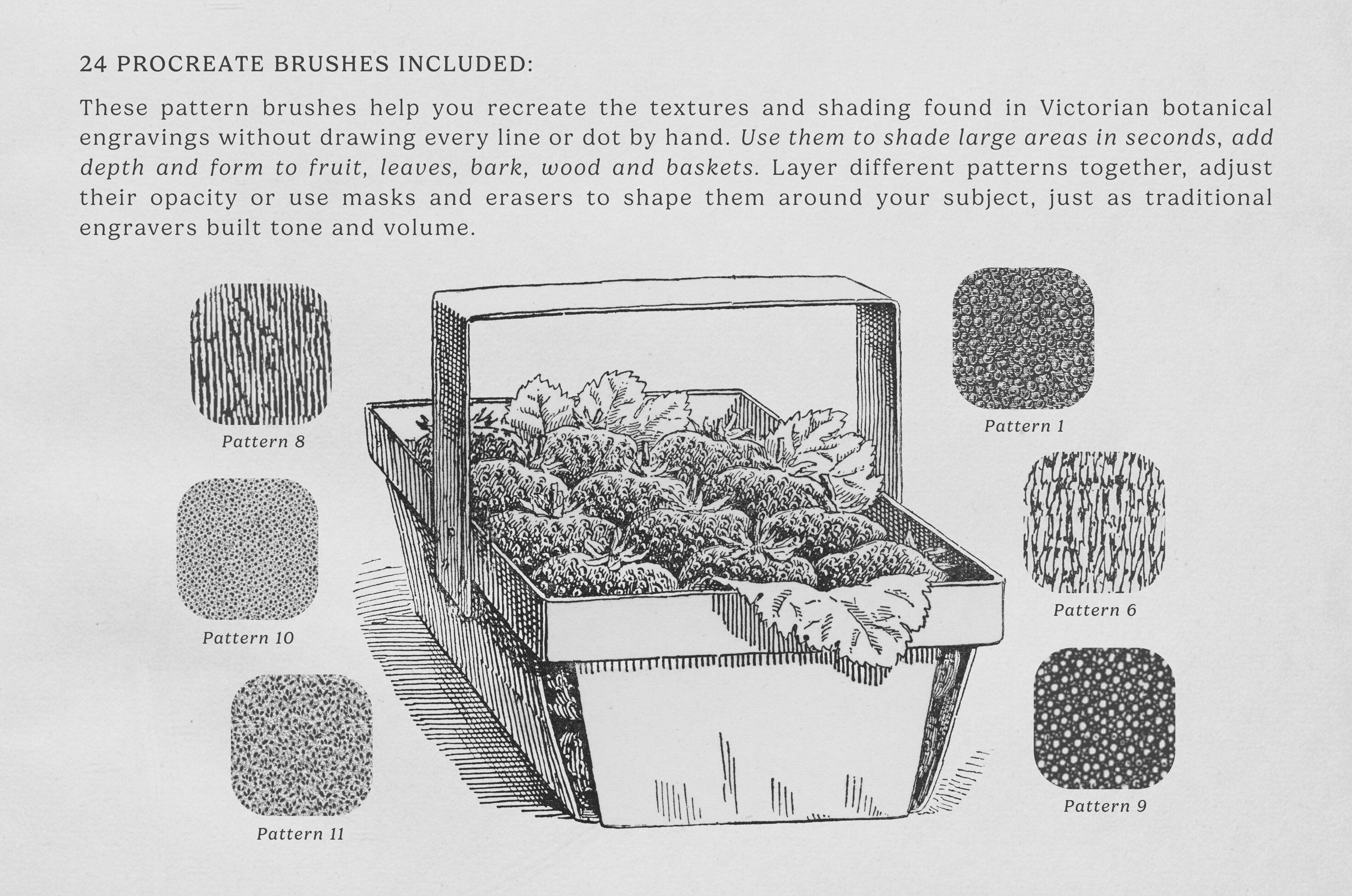 the-fruit-growers-guide-procreate-kit-digi-life-4.jpg