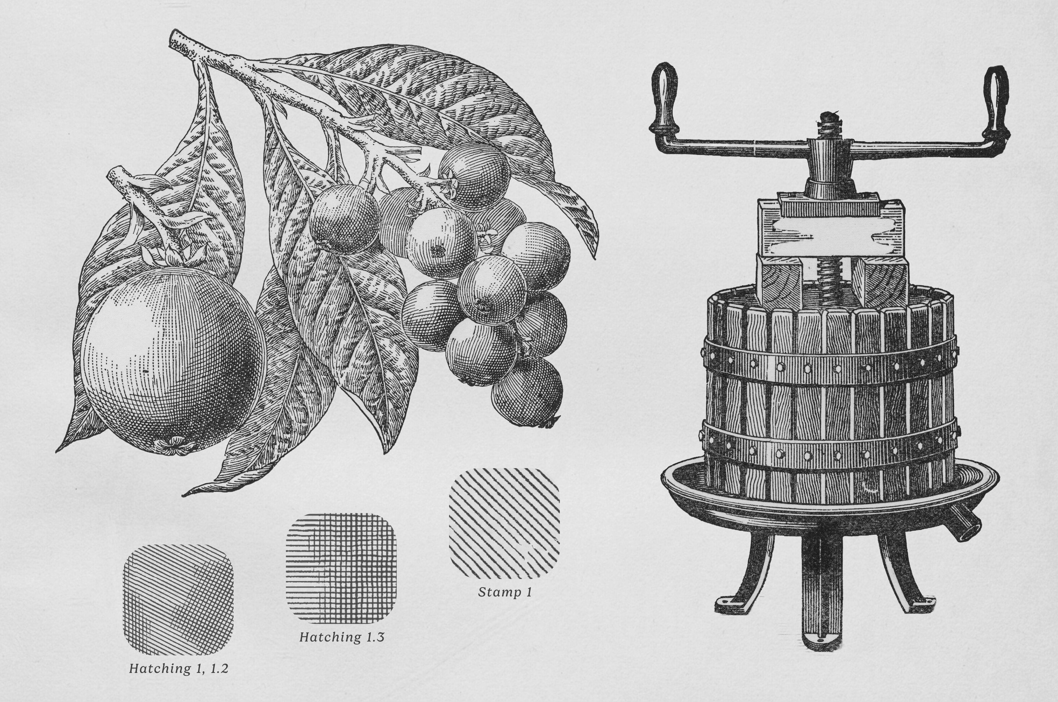 the-fruit-growers-guide-procreate-kit-digi-life-6.jpg