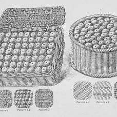 the-fruit-growers-guide-procreate-kit-free-download-digi-life-5.jpg