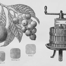 the-fruit-growers-guide-procreate-kit-free-download-digi-life-6.jpg