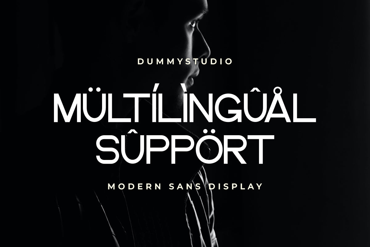 the-lamian-modern-sans-display-font-catalystco-studio-4.jpg