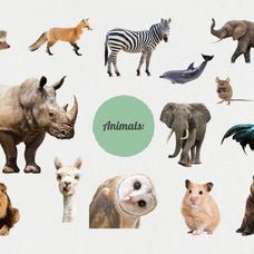 The Maximalist Collage Creator