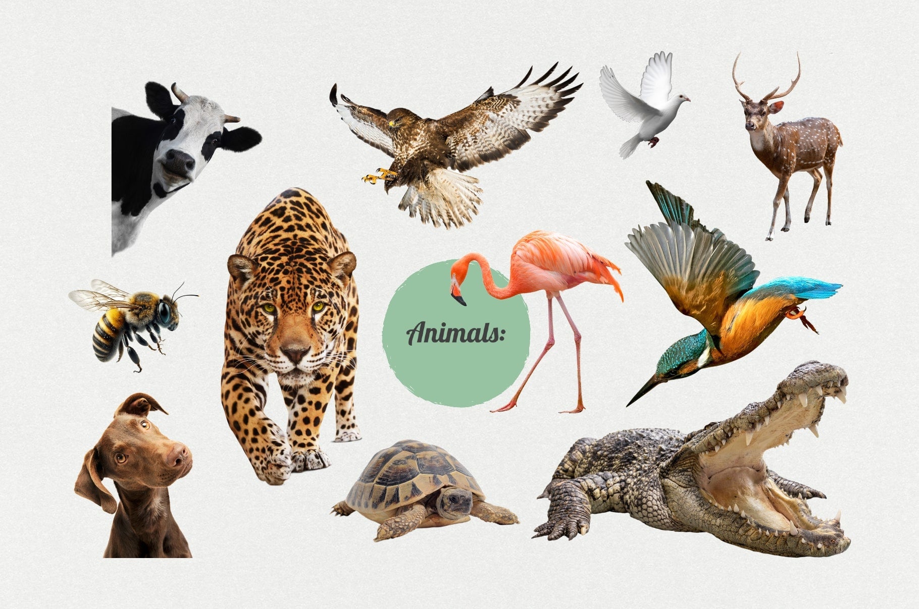 The Maximalist Collage Creator