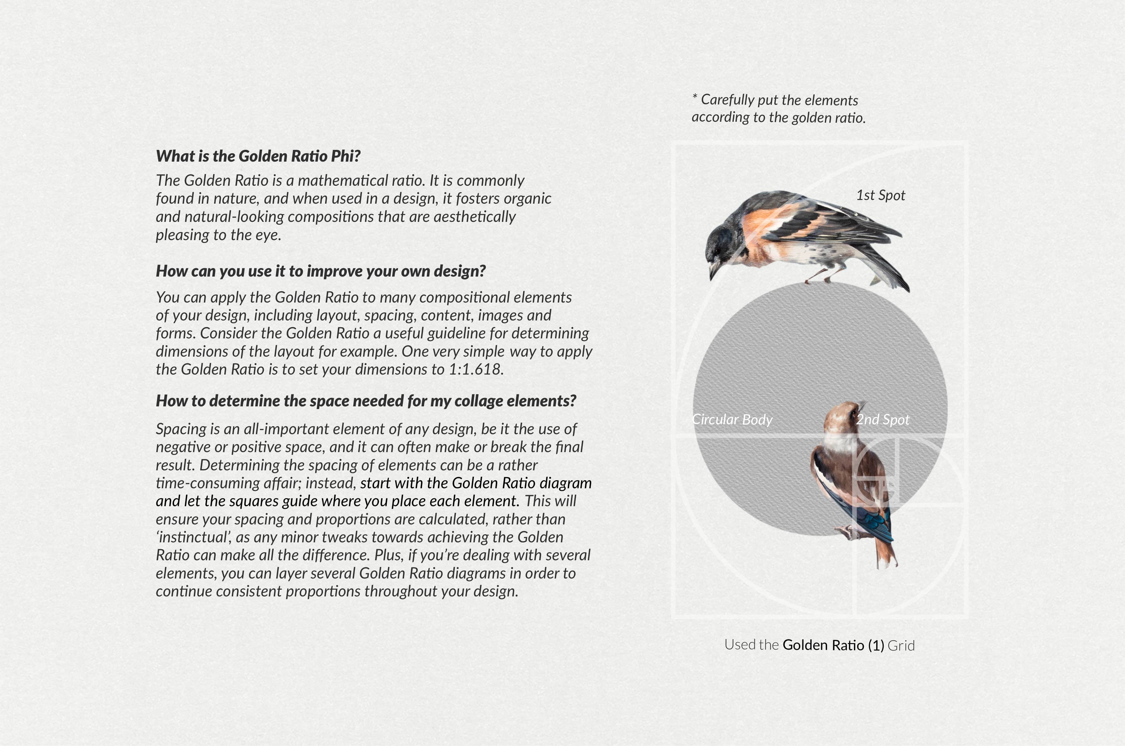 The Minimalist Collage Creator