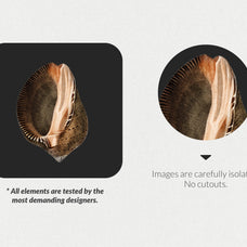 The Minimalist Collage Creator