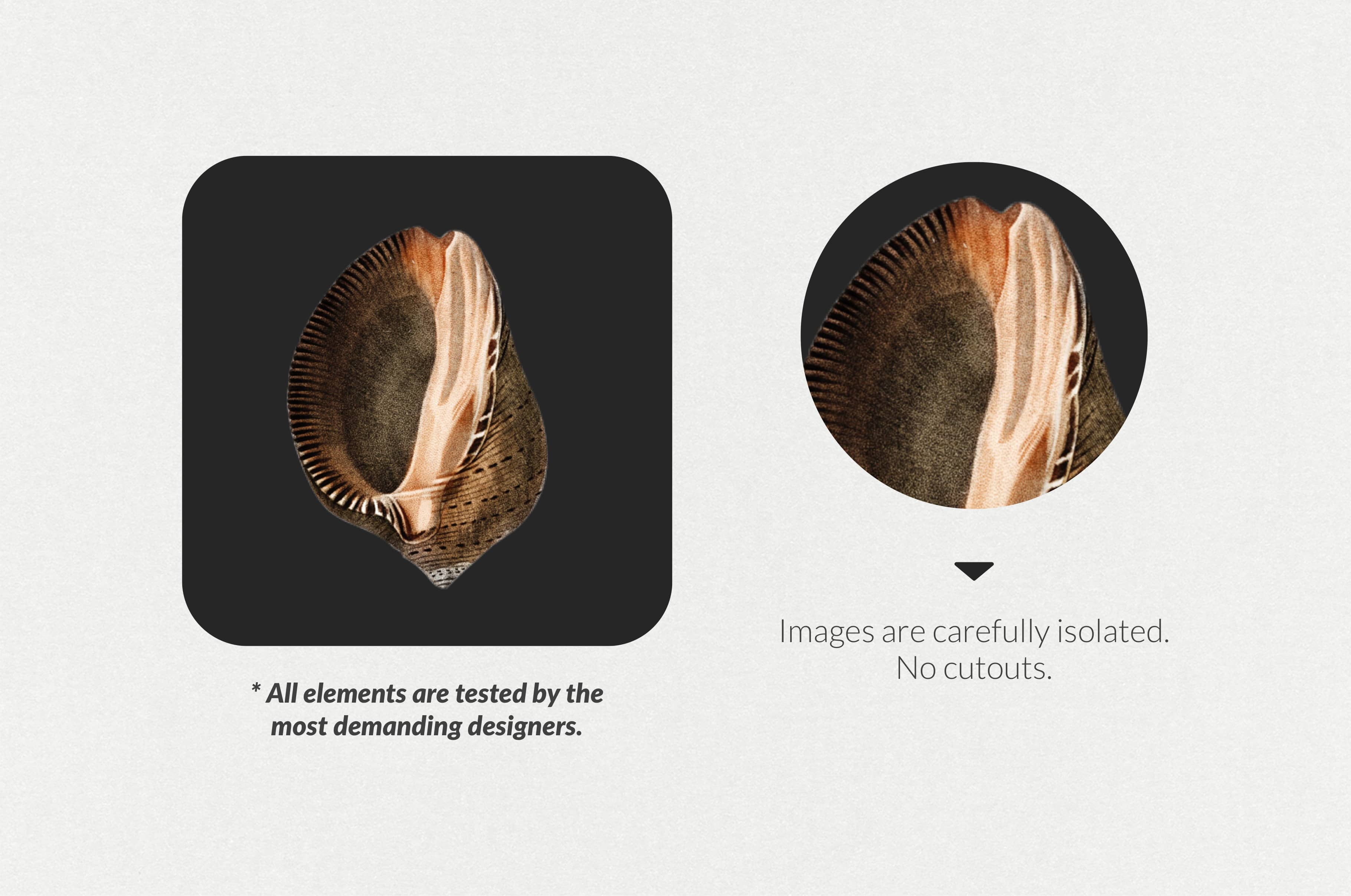 The Minimalist Collage Creator