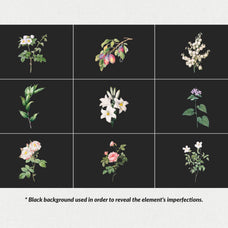 The Minimalist Collage Creator