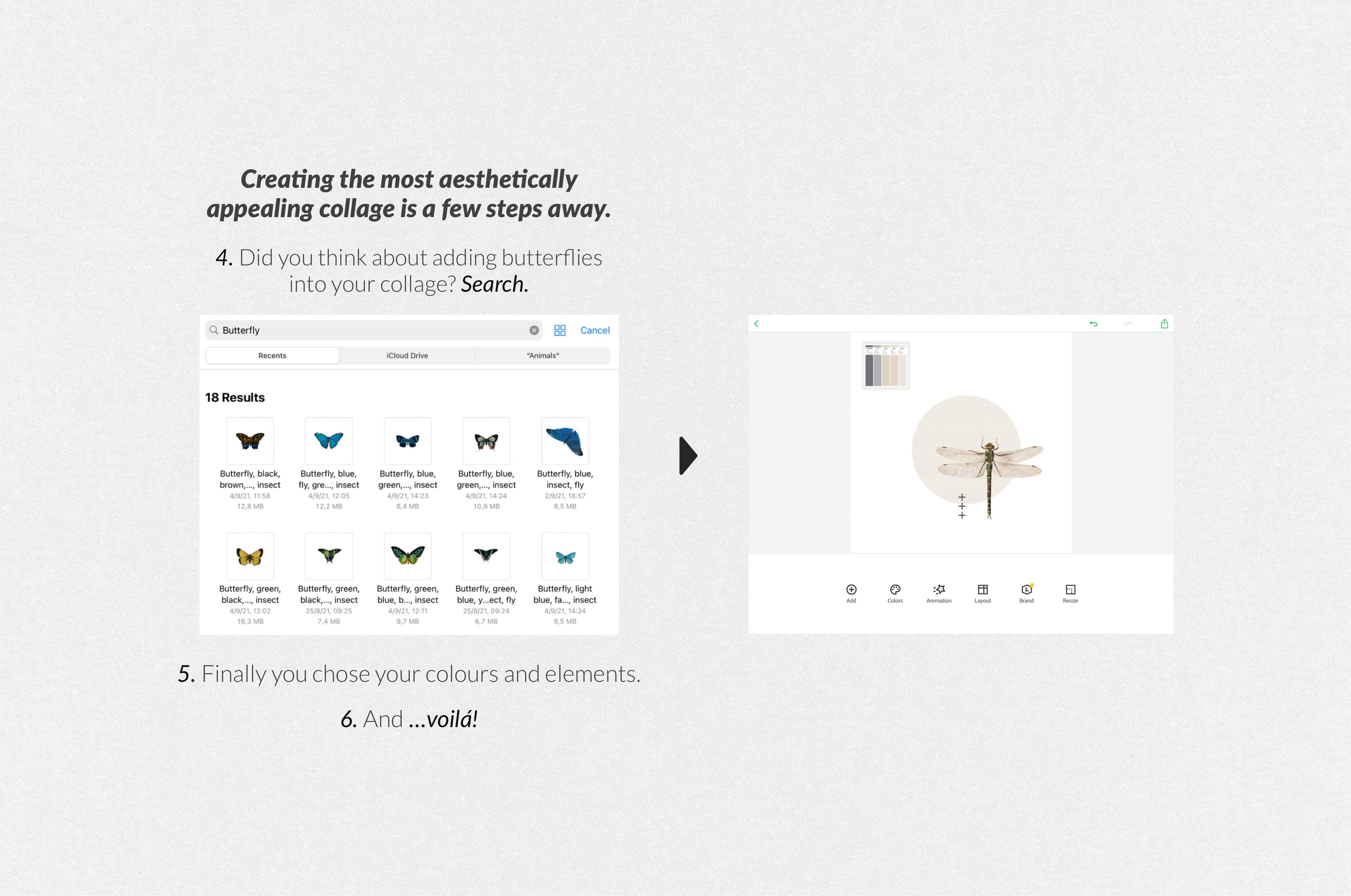 The Minimalist Collage Creator