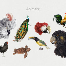 The Minimalist Collage Creator