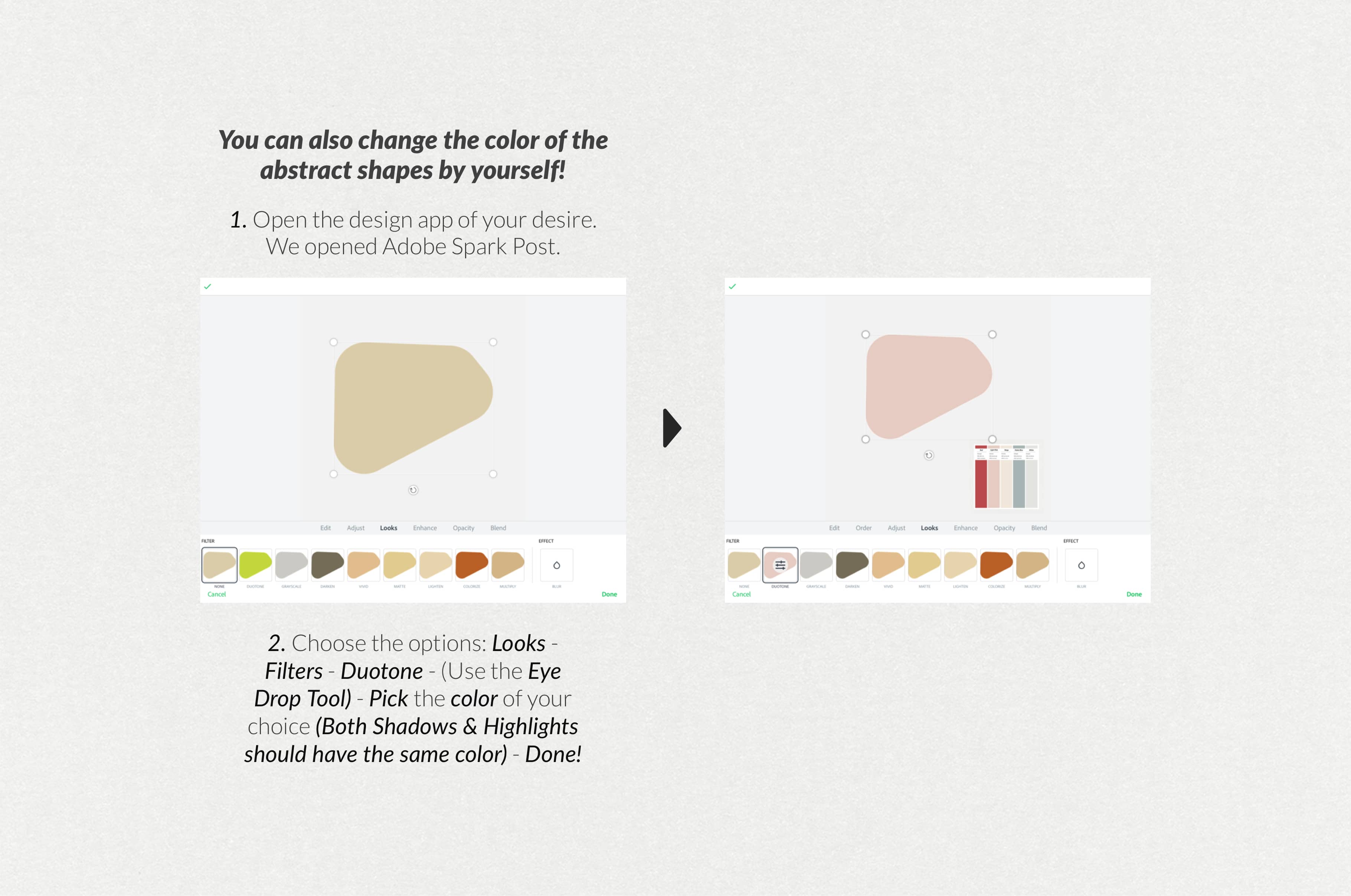 The Minimalist Collage Creator