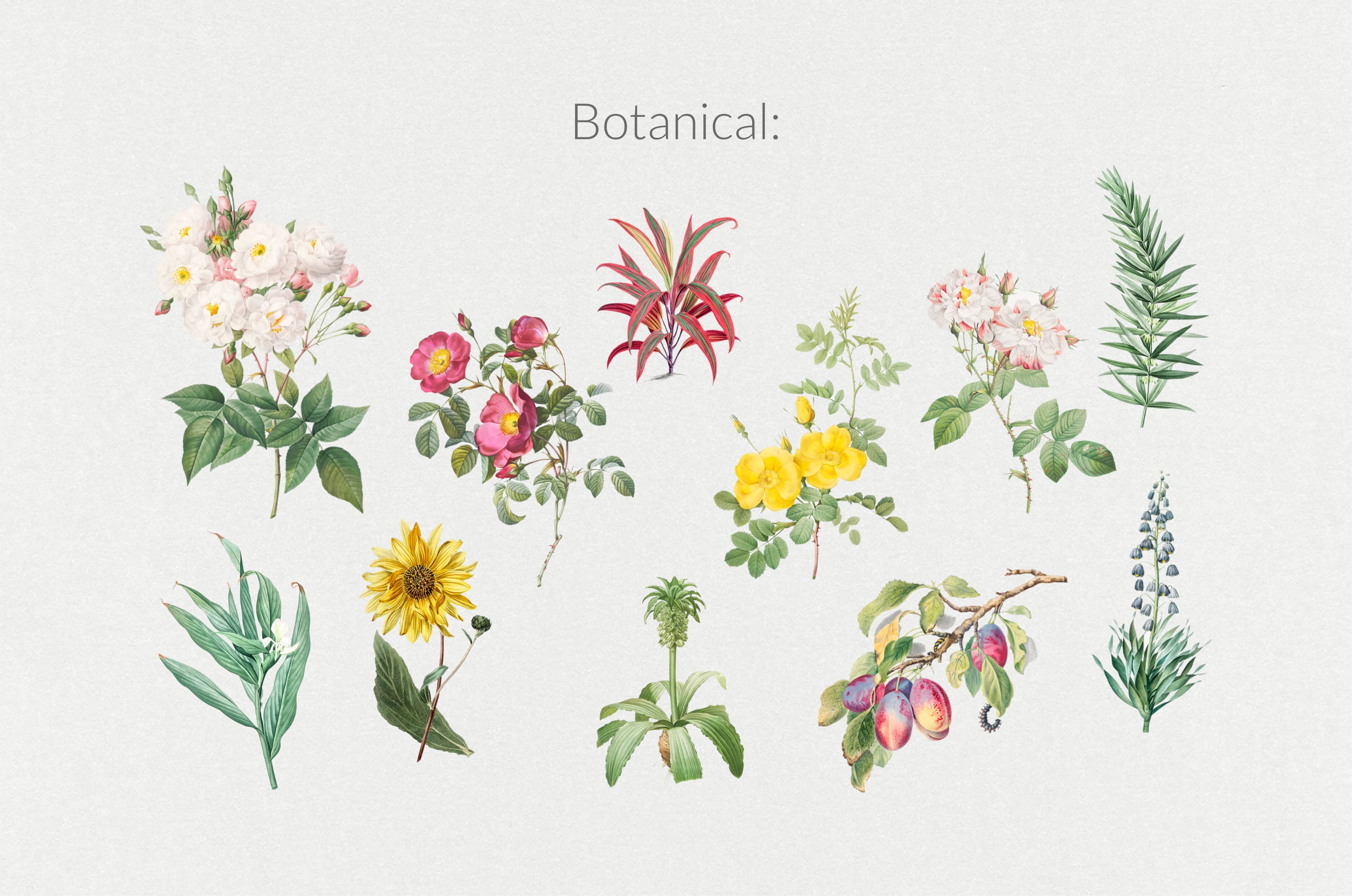 The Minimalist Collage Creator