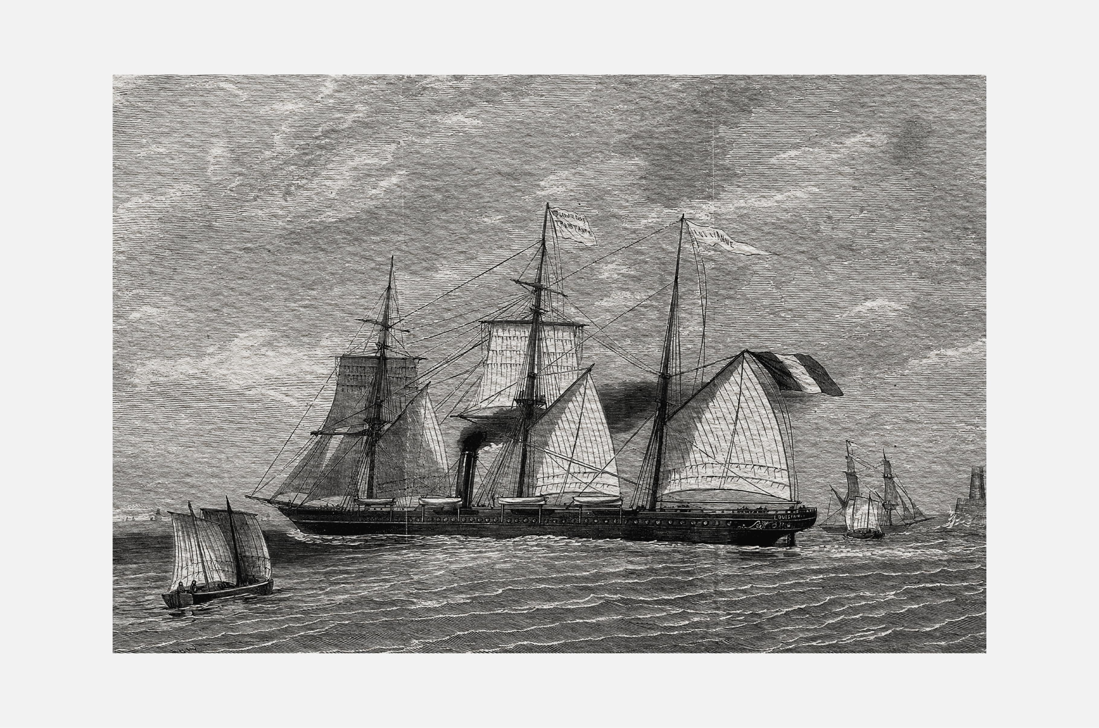 The Paper Palace Procreate Brushes