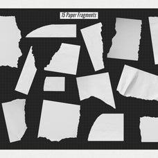 The Procreate Collage Scrap Creator