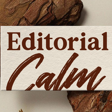 the-redlane-editorial-display-serif-font-rasio-std-4.png