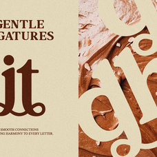 the-redlane-editorial-display-serif-font-rasio-std-6.png